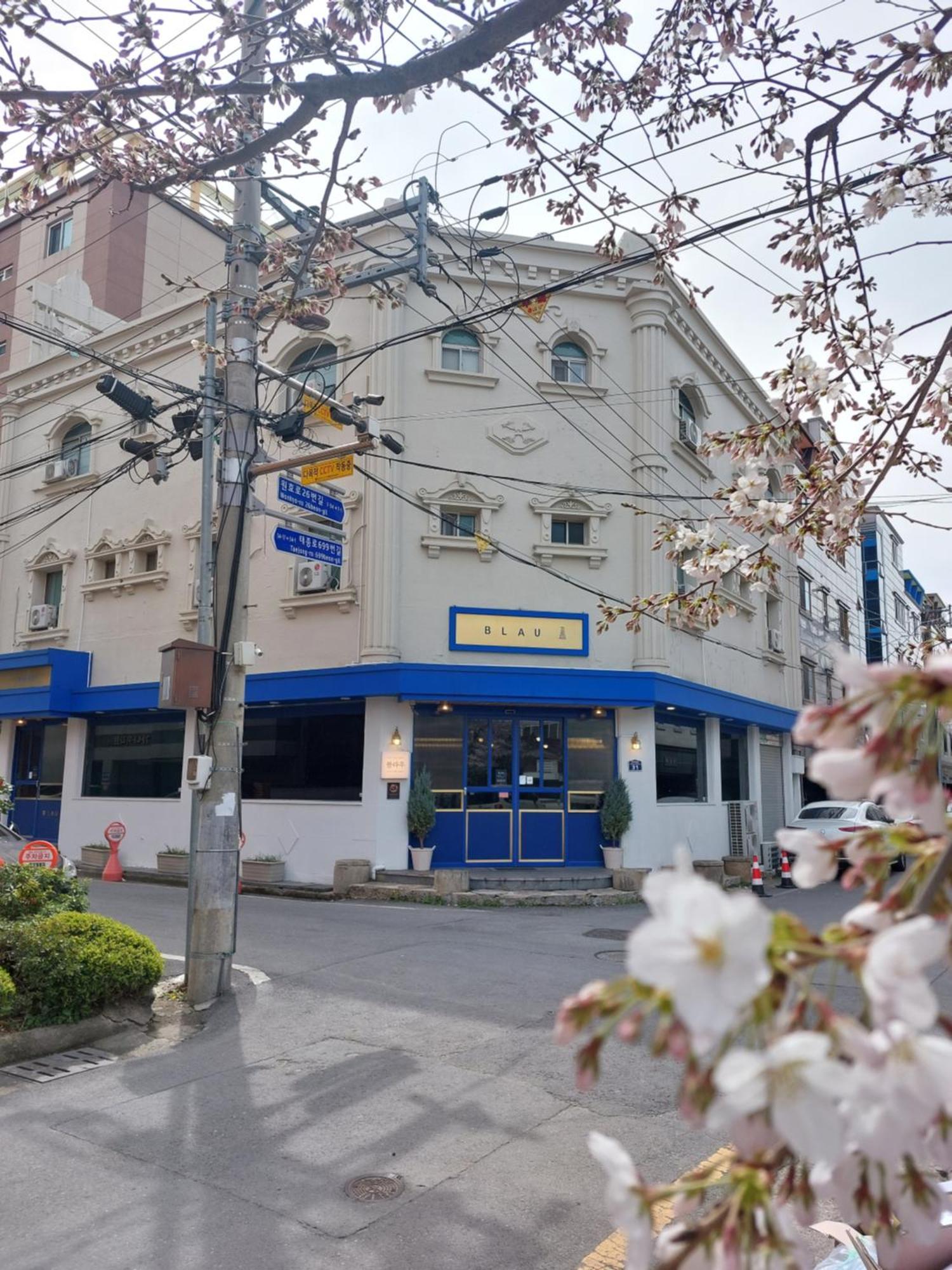 גייאונגג'ו Blau Guesthouse מראה חיצוני תמונה
